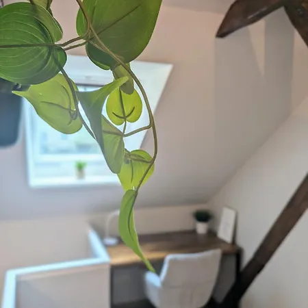 New! Luxurious With Parking Apartment Kiel