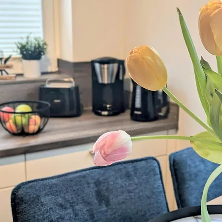 S4D Ferienwohnung Kiel Zentral, 2 Parkplaetze キール